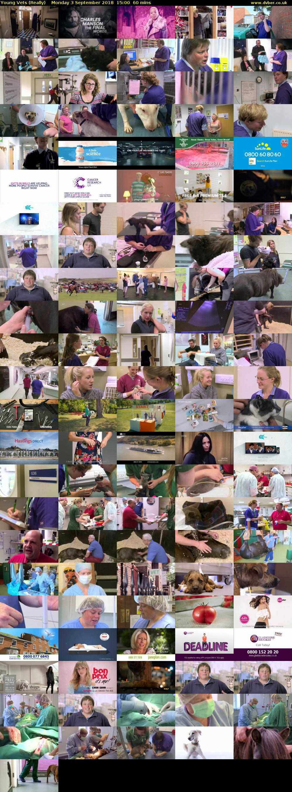 Young Vets (Really) Monday 3 September 2018 15:00 - 16:00