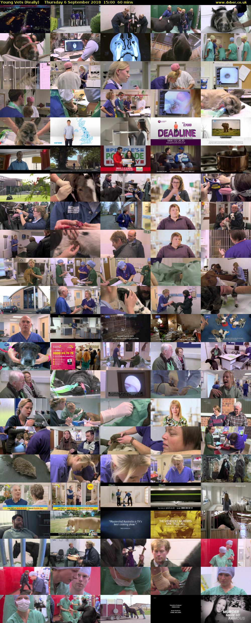 Young Vets (Really) Thursday 6 September 2018 15:00 - 16:00