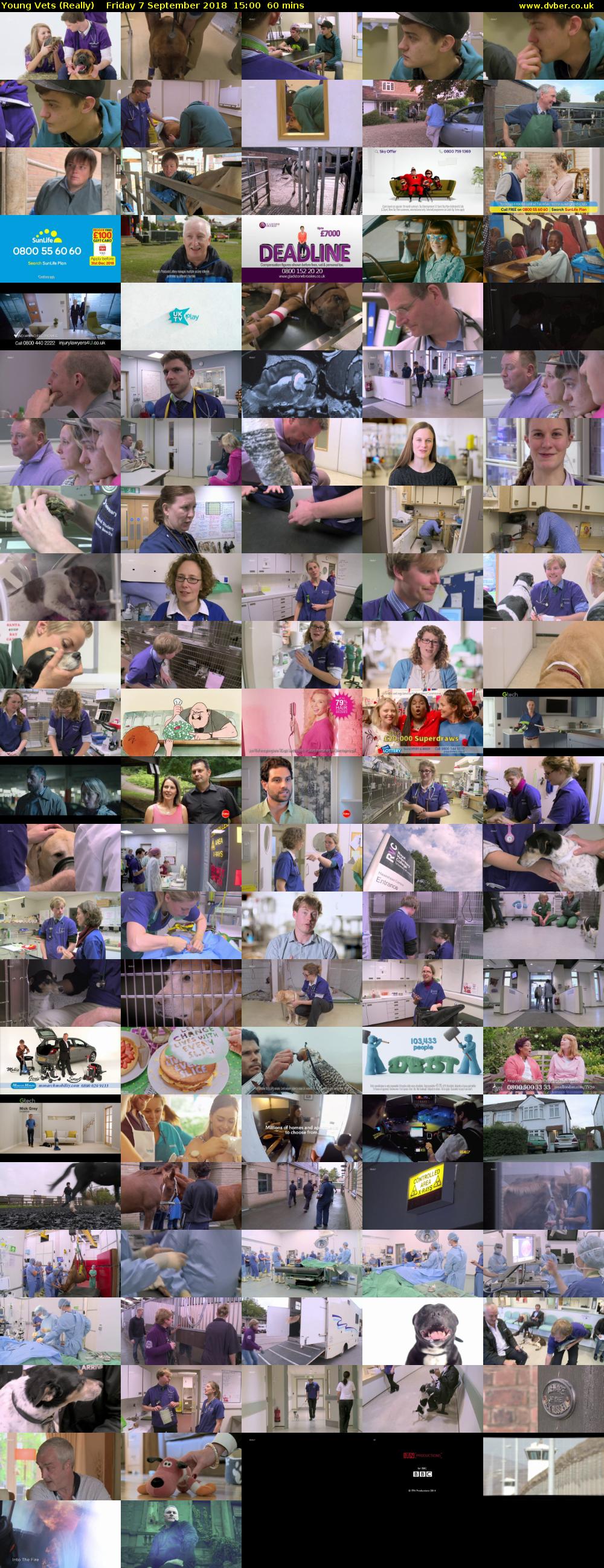 Young Vets (Really) Friday 7 September 2018 15:00 - 16:00