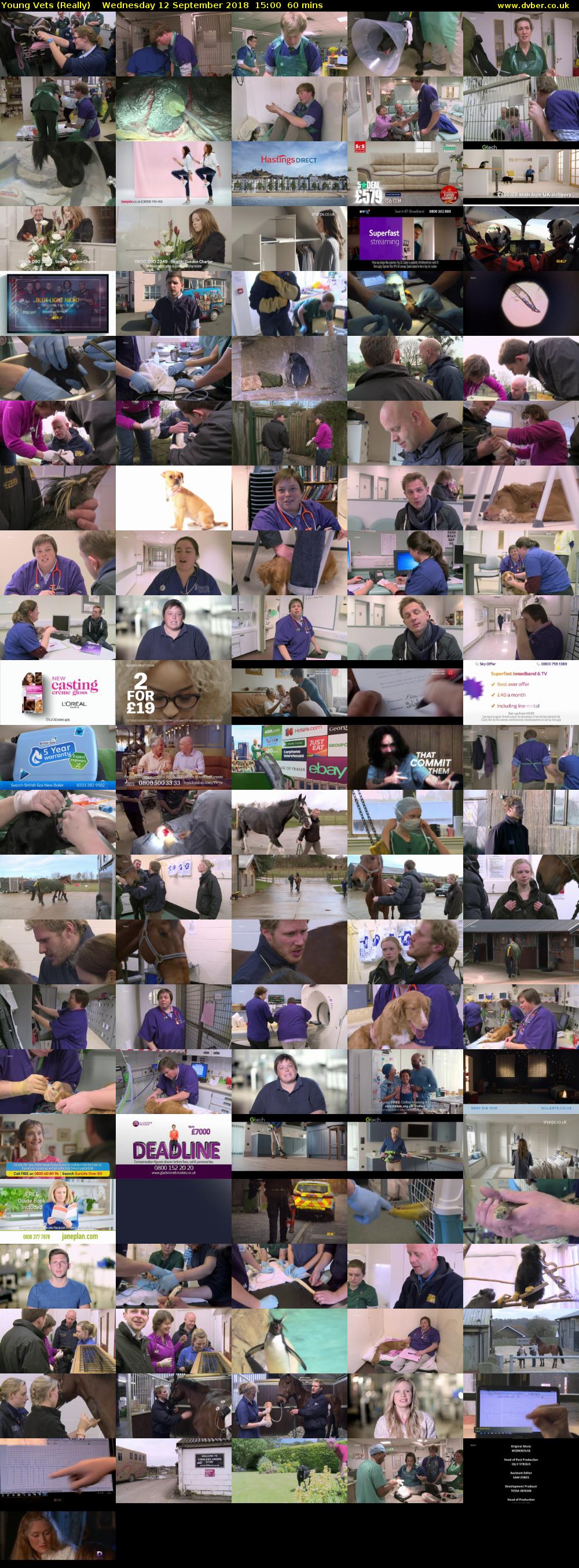 Young Vets (Really) Wednesday 12 September 2018 15:00 - 16:00
