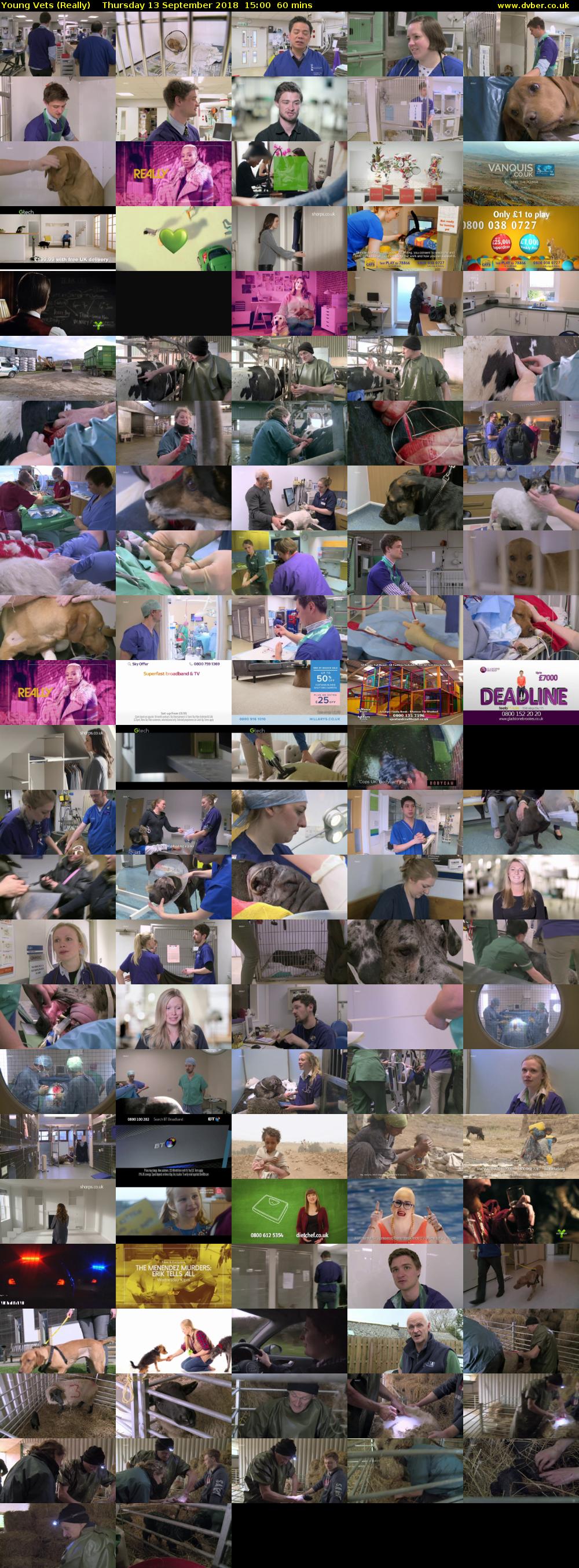 Young Vets (Really) Thursday 13 September 2018 15:00 - 16:00