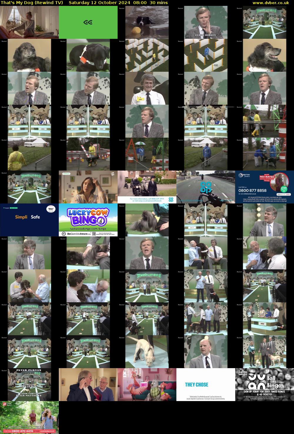 That's My Dog (Rewind TV) Saturday 12 October 2024 08:00 - 08:30