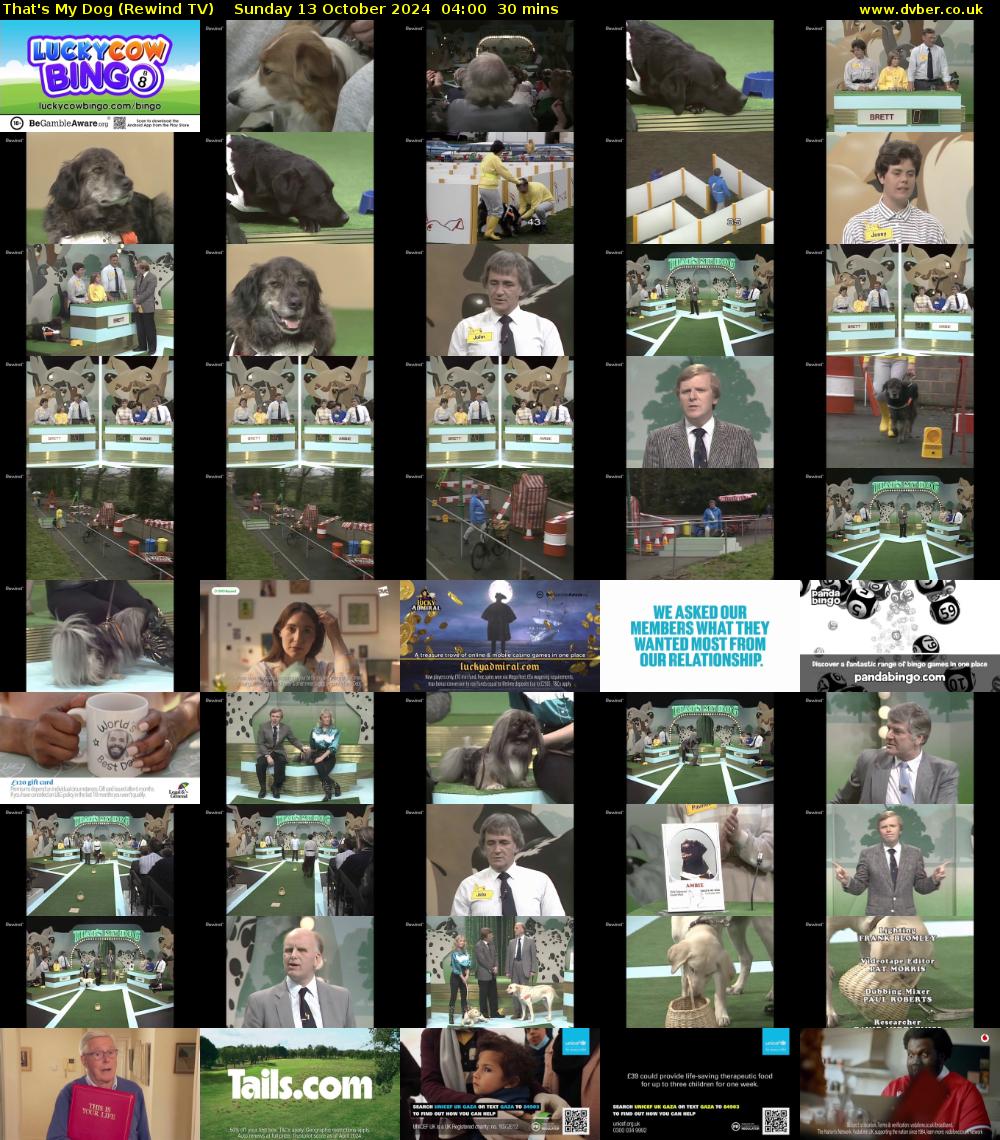 That's My Dog (Rewind TV) Sunday 13 October 2024 04:00 - 04:30