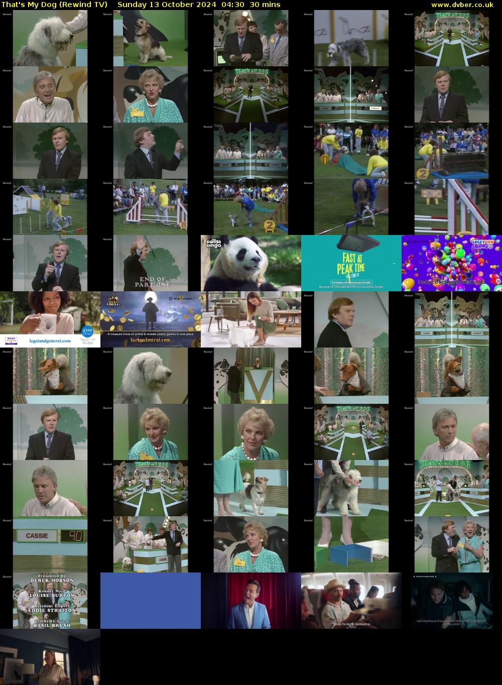That's My Dog (Rewind TV) Sunday 13 October 2024 04:30 - 05:00
