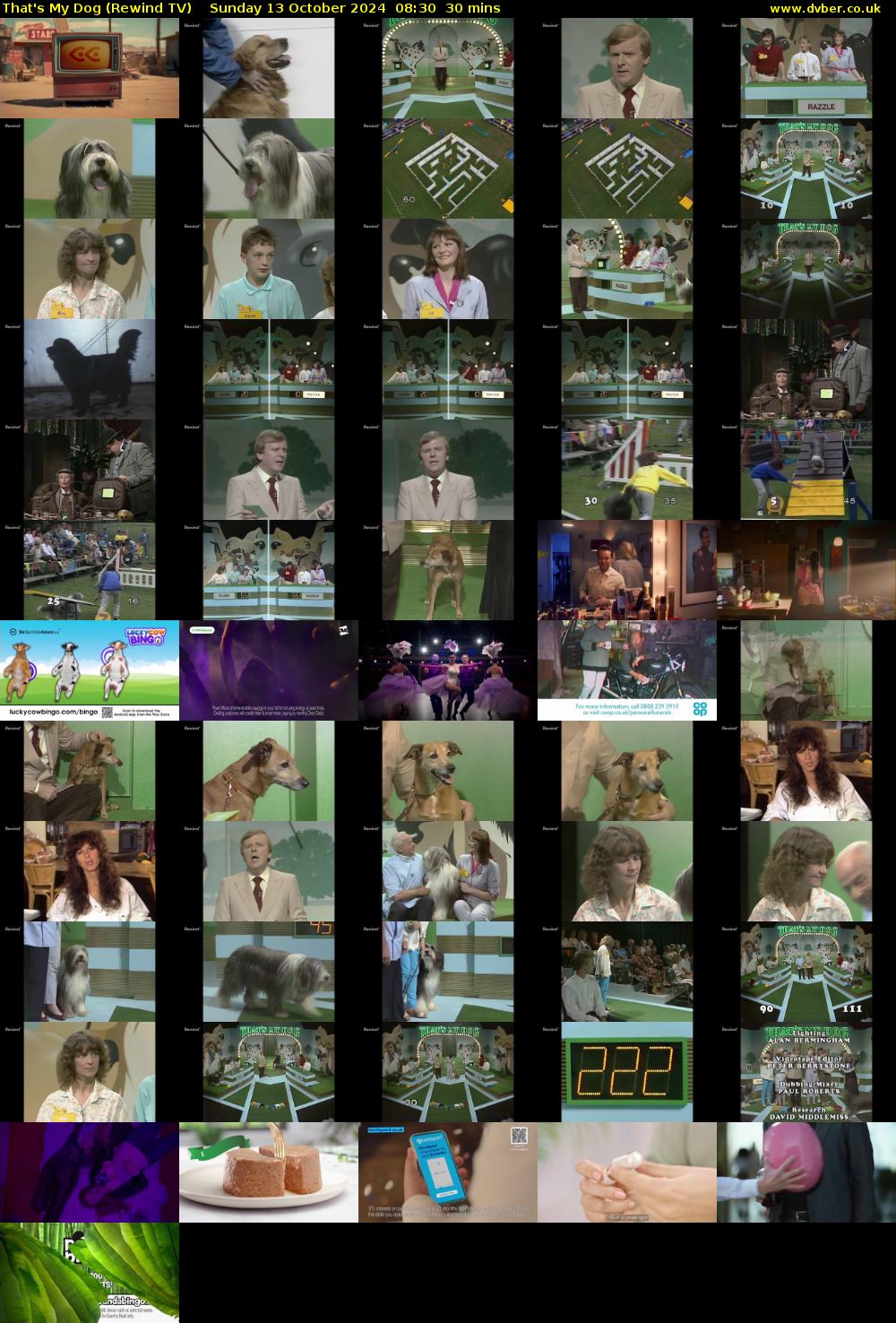 That's My Dog (Rewind TV) Sunday 13 October 2024 08:30 - 09:00