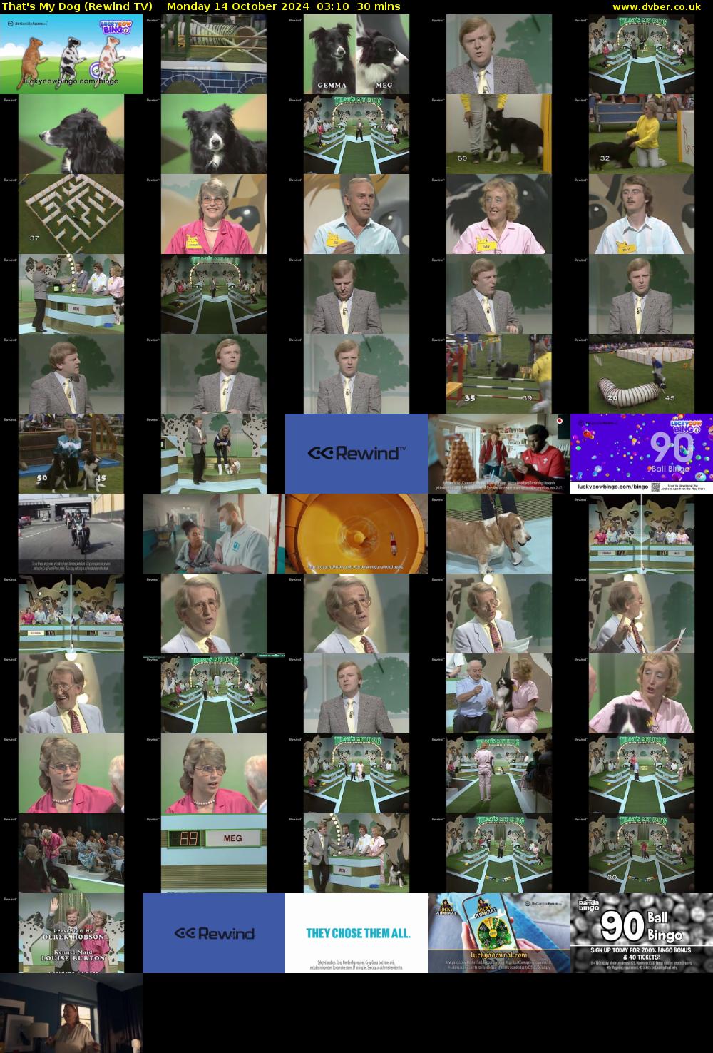 That's My Dog (Rewind TV) Monday 14 October 2024 03:10 - 03:40