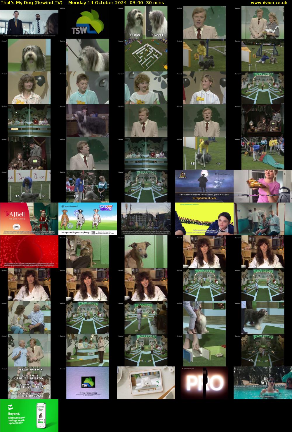 That's My Dog (Rewind TV) Monday 14 October 2024 03:40 - 04:10