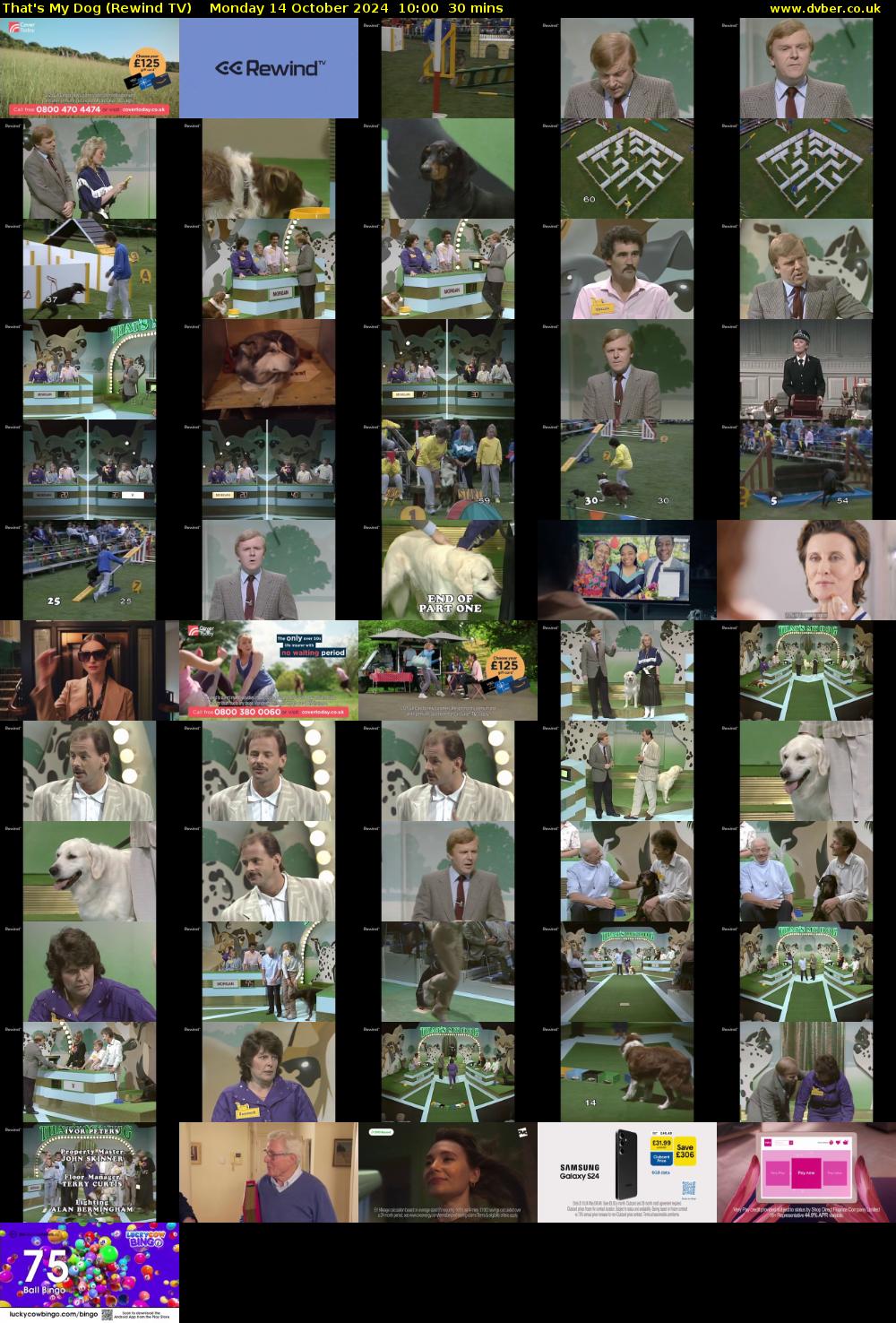 That's My Dog (Rewind TV) Monday 14 October 2024 10:00 - 10:30