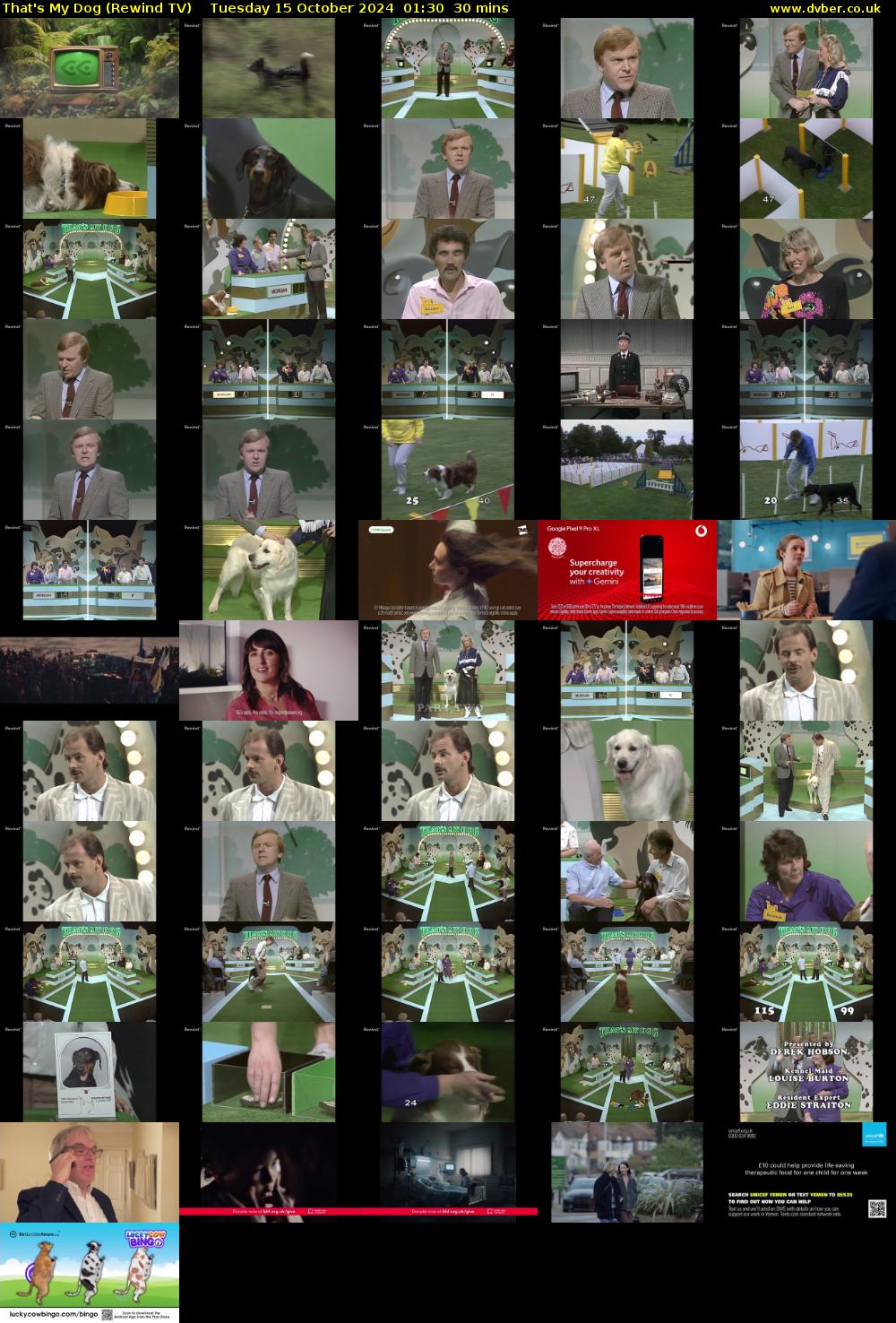 That's My Dog (Rewind TV) Tuesday 15 October 2024 01:30 - 02:00