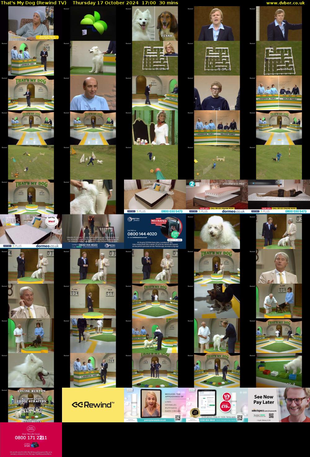 That's My Dog (Rewind TV) Thursday 17 October 2024 17:00 - 17:30