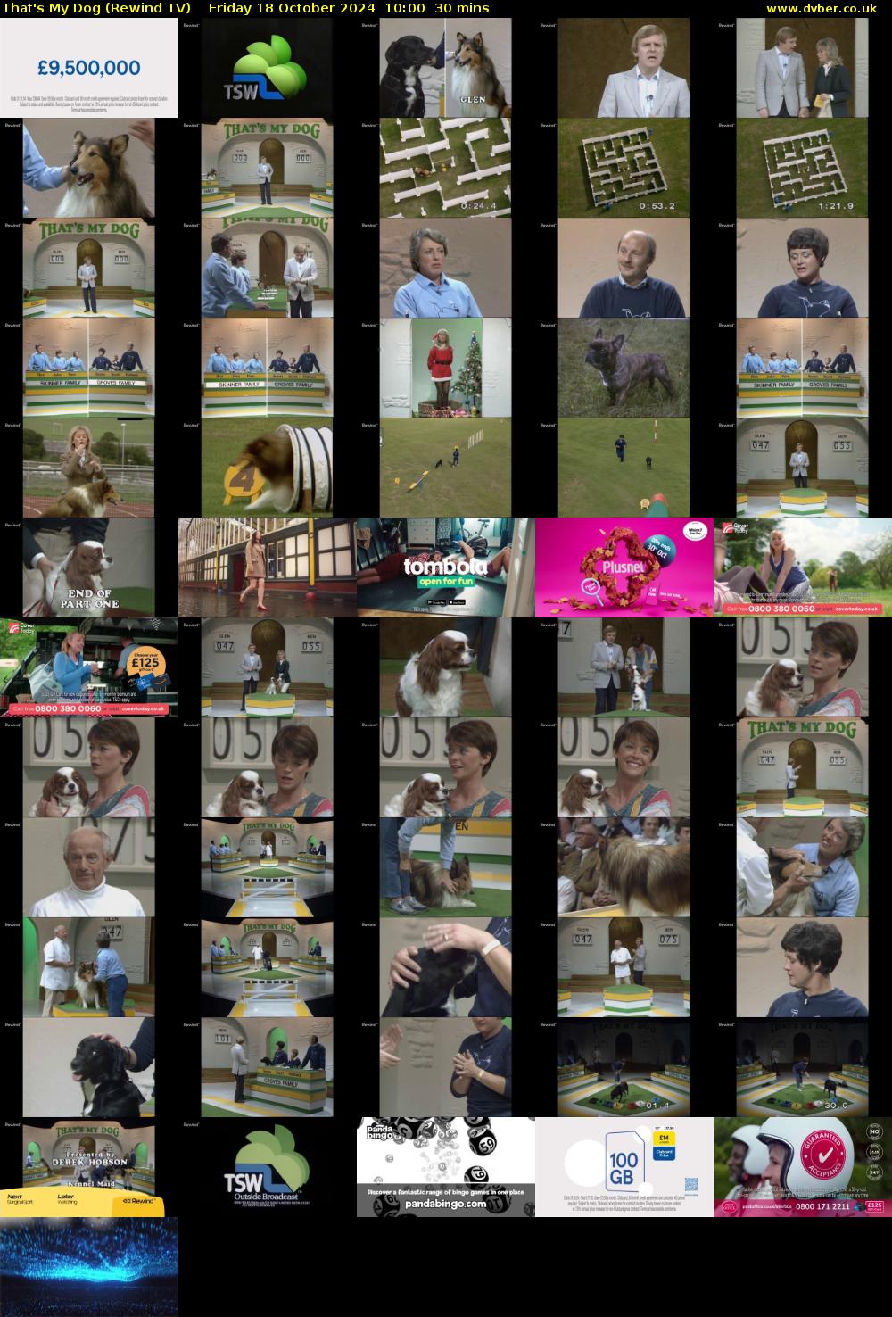 That's My Dog (Rewind TV) Friday 18 October 2024 10:00 - 10:30