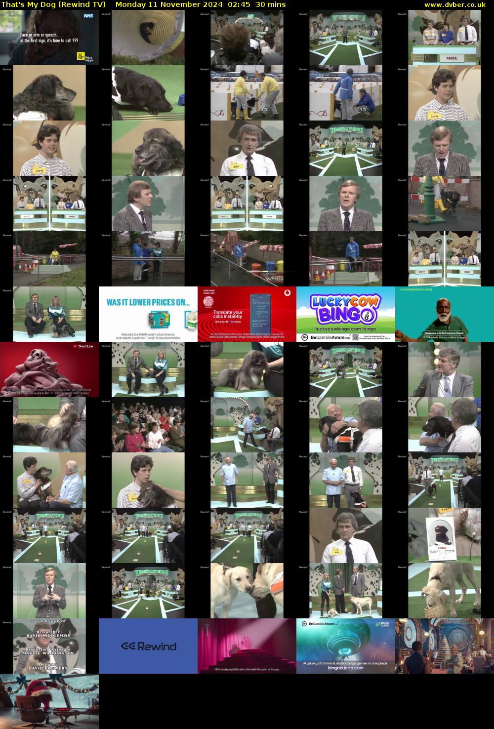 That's My Dog (Rewind TV) Monday 11 November 2024 02:45 - 03:15