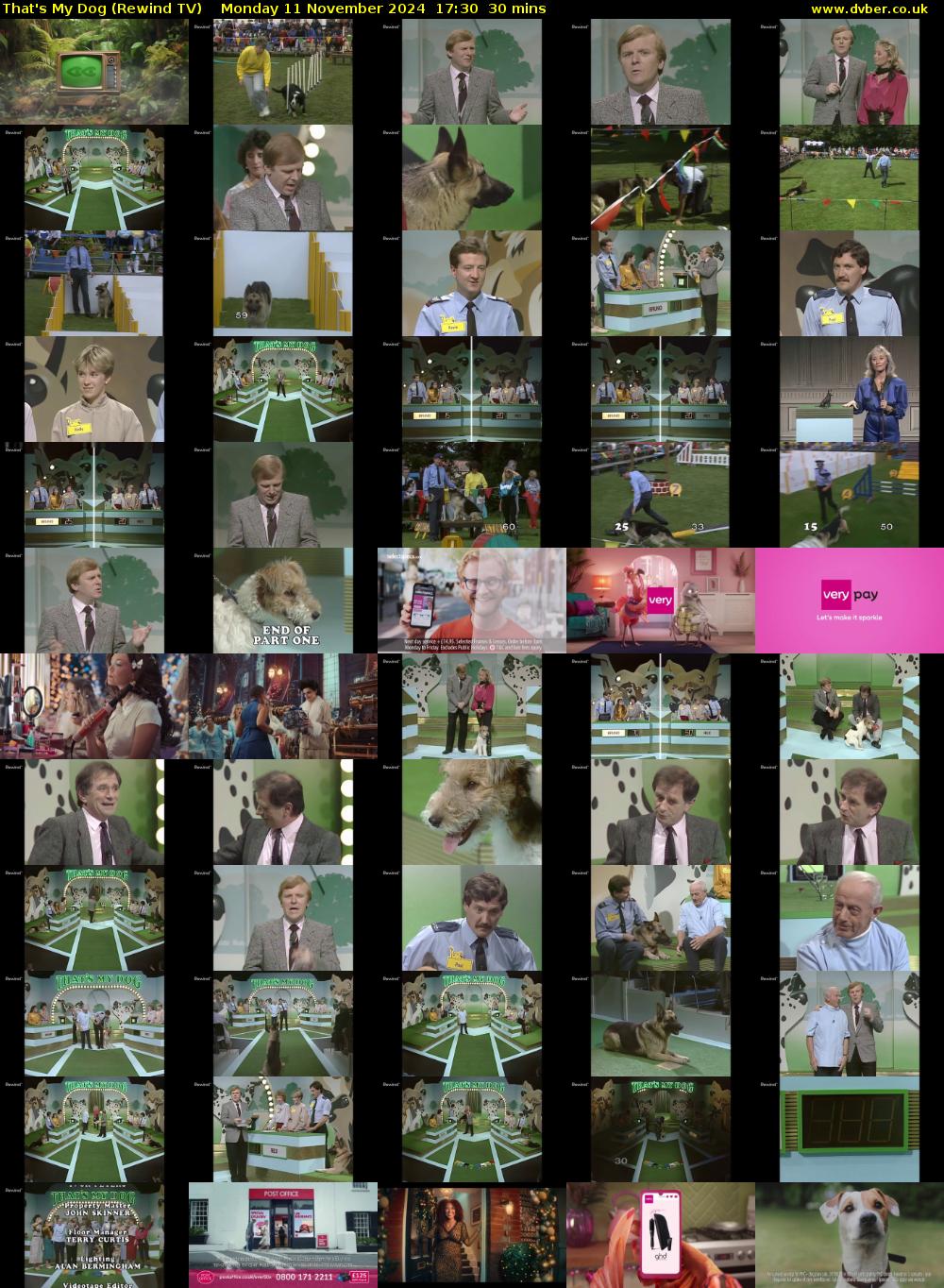 That's My Dog (Rewind TV) Monday 11 November 2024 17:30 - 18:00