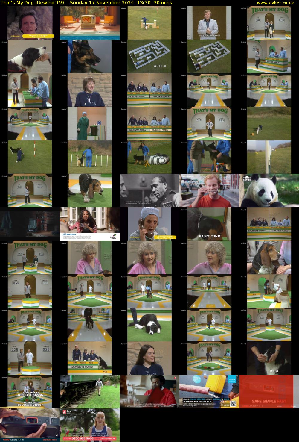 That's My Dog (Rewind TV) Sunday 17 November 2024 13:30 - 14:00
