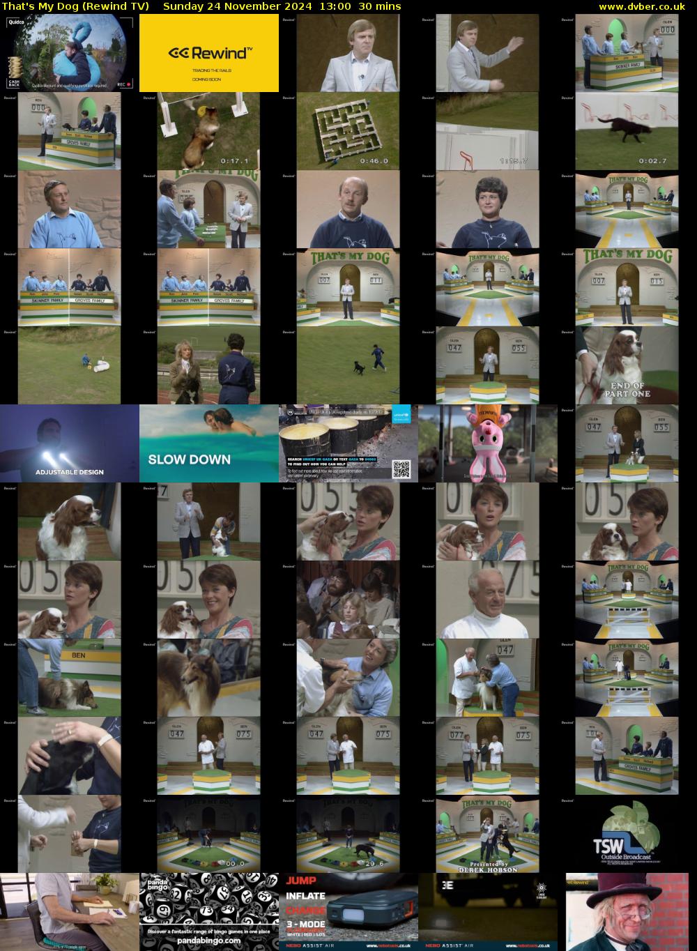 That's My Dog (Rewind TV) Sunday 24 November 2024 13:00 - 13:30