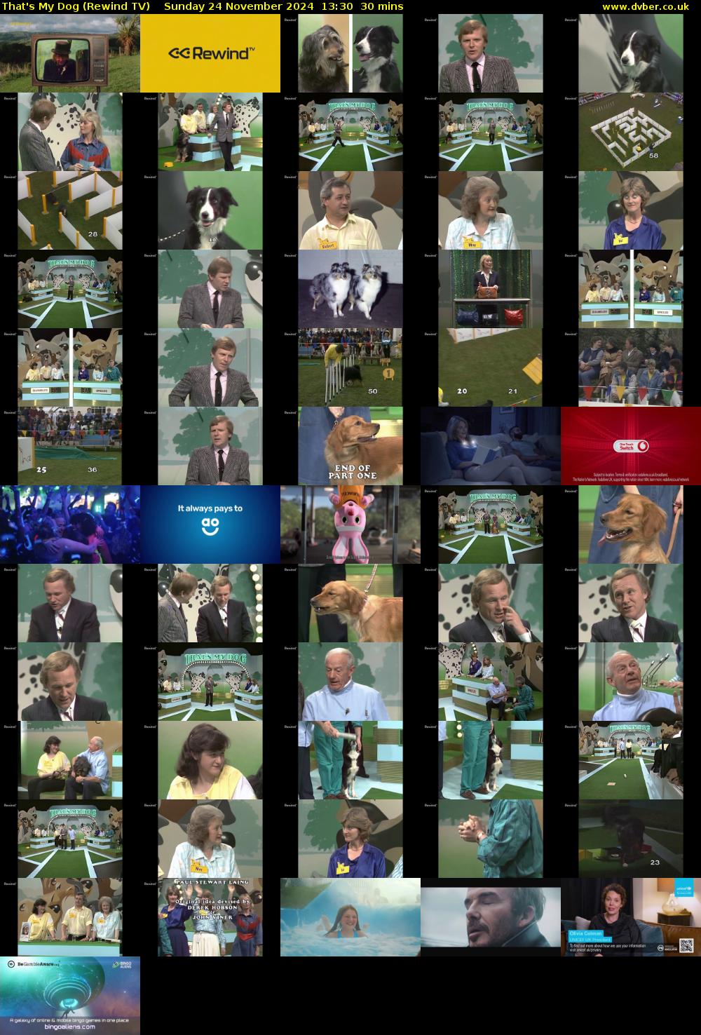 That's My Dog (Rewind TV) Sunday 24 November 2024 13:30 - 14:00
