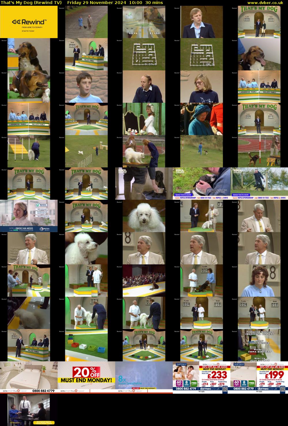 That's My Dog (Rewind TV) Friday 29 November 2024 10:00 - 10:30