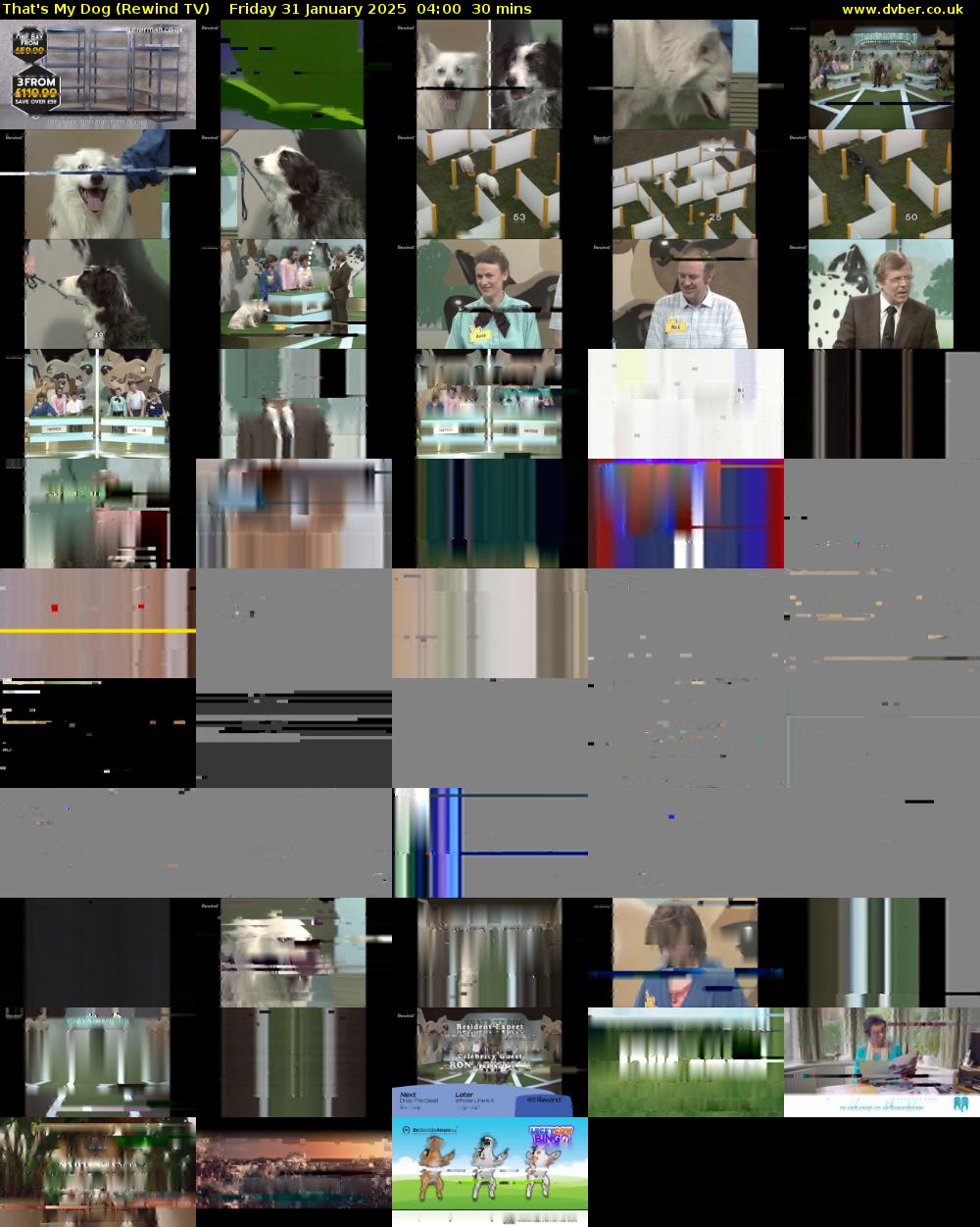 That's My Dog (Rewind TV) Friday 31 January 2025 04:00 - 04:30
