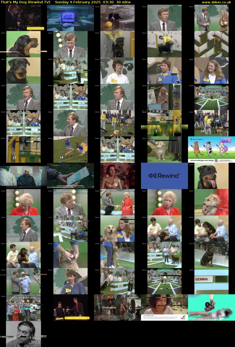 That's My Dog (Rewind TV) Sunday 9 February 2025 03:30 - 04:00