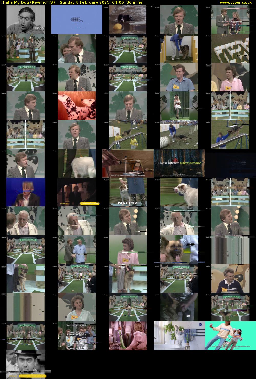 That's My Dog (Rewind TV) Sunday 9 February 2025 04:00 - 04:30