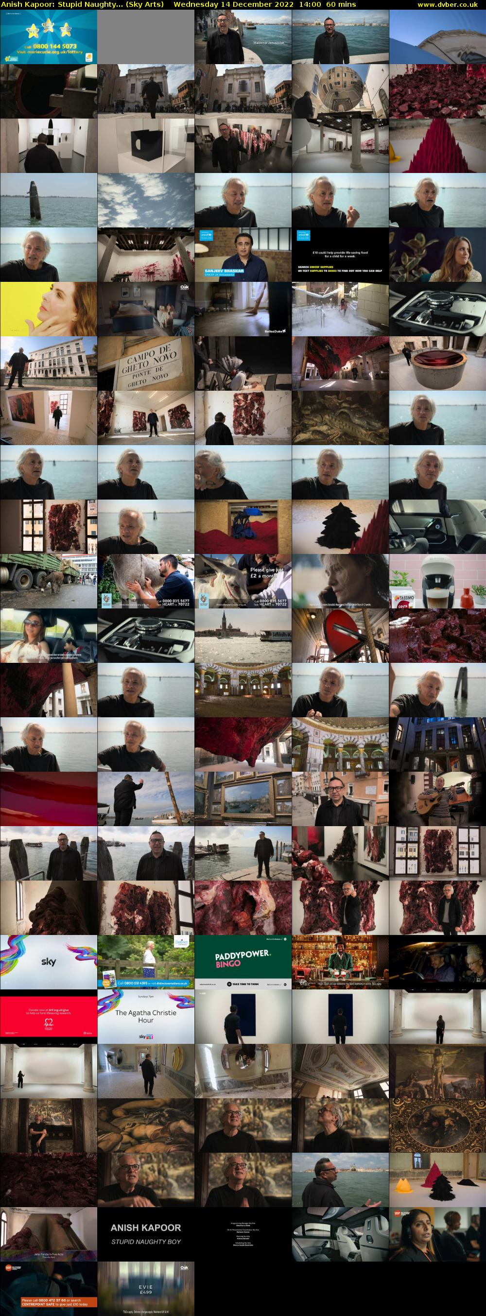 Anish Kapoor: Stupid Naughty... (Sky Arts) Wednesday 14 December 2022 14:00 - 15:00