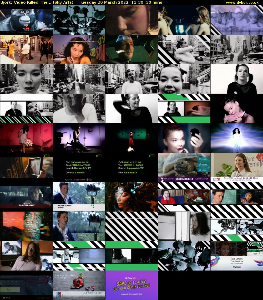 Bjork: Video Killed The... (Sky Arts) Tuesday 29 March 2022 11:30 - 12:00