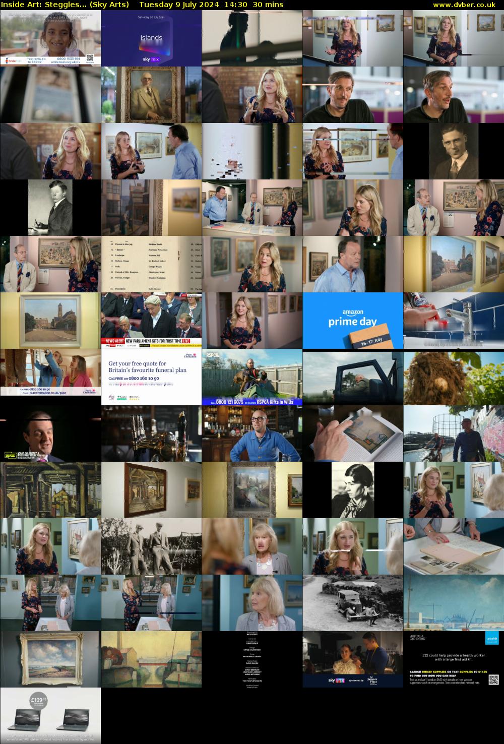 Inside Art: Steggles... (Sky Arts) Tuesday 9 July 2024 14:30 - 15:00