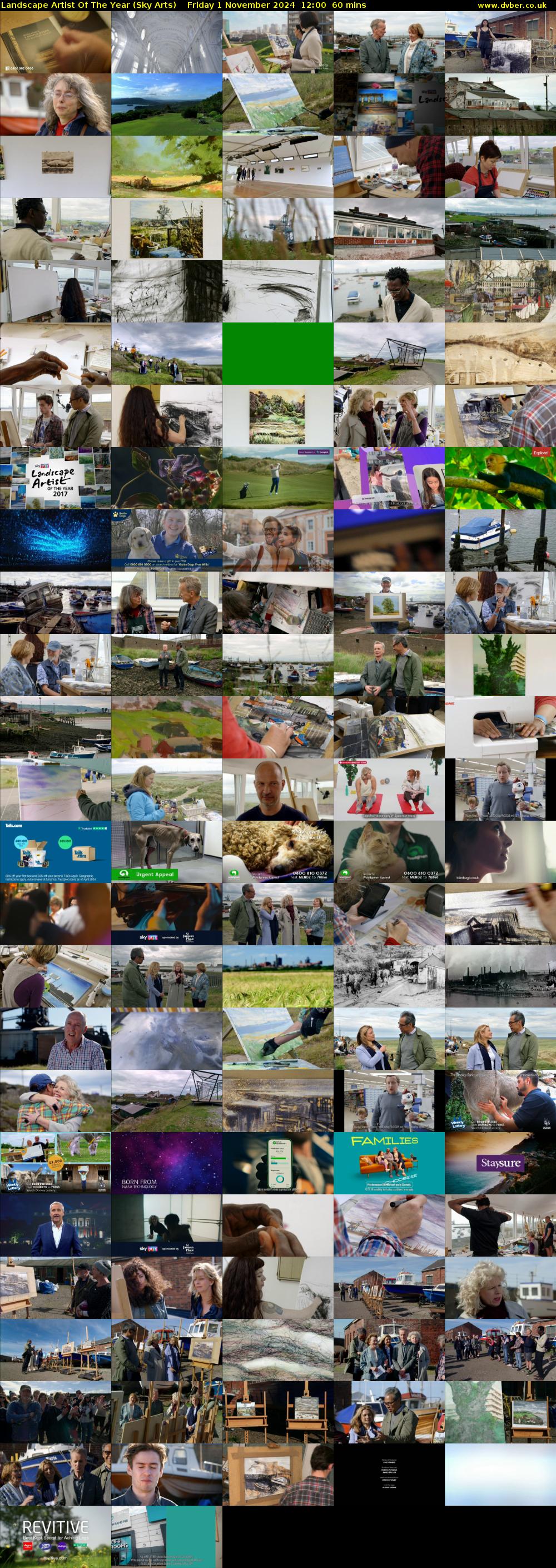 Landscape Artist Of The Year (Sky Arts) Friday 1 November 2024 12:00 - 13:00