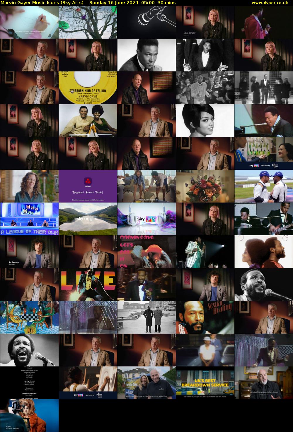 Marvin Gaye: Music Icons (Sky Arts) Sunday 16 June 2024 05:00 - 05:30