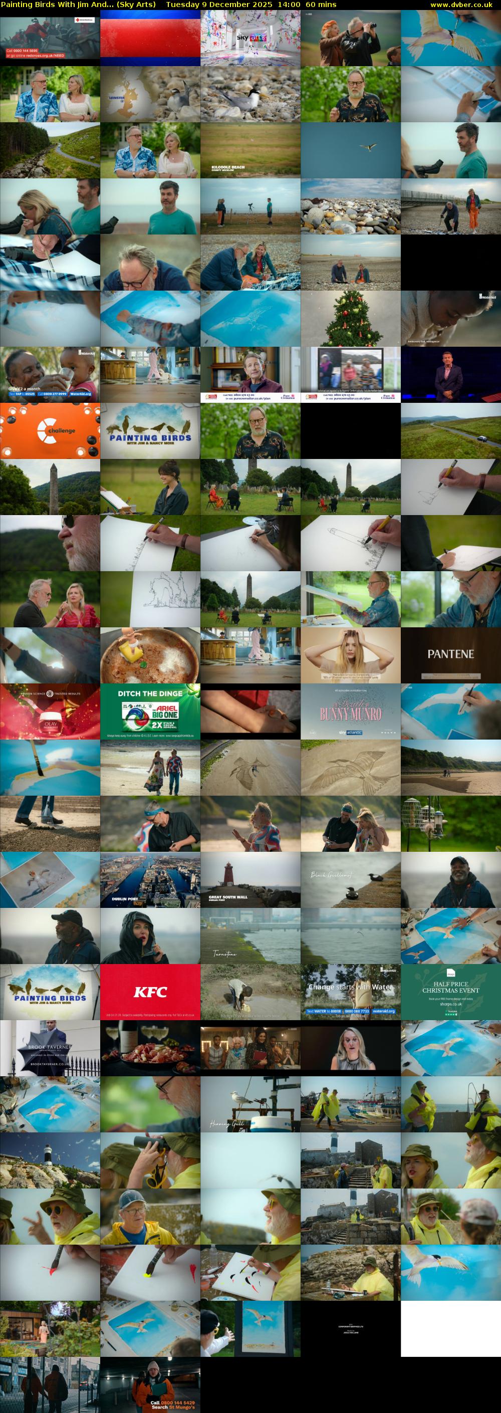 Painting Birds With Jim And... (Sky Arts) Tuesday 9 December 2025 14:00 - 15:00