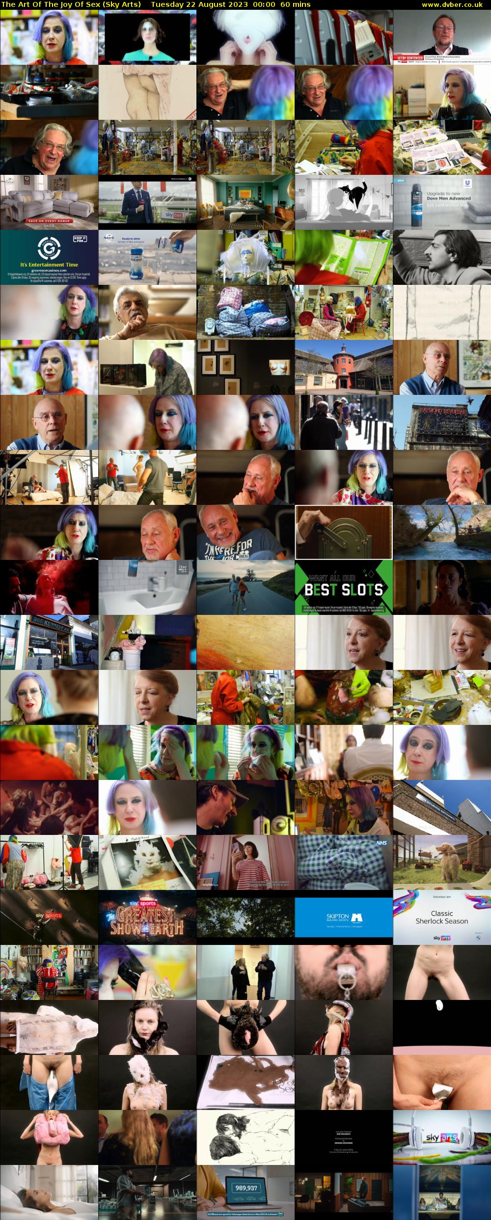 The Art Of The Joy Of Sex (Sky Arts) Tuesday 22 August 2023 00:00 - 01:00