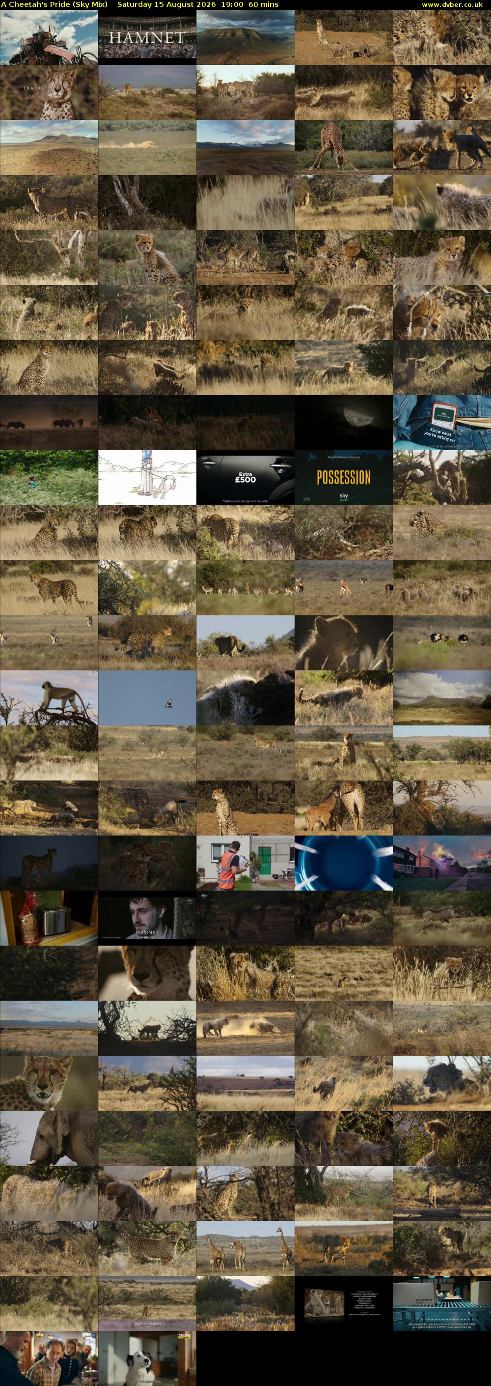 A Cheetah's Pride (Sky Mix) Saturday 15 August 2026 19:00 - 20:00