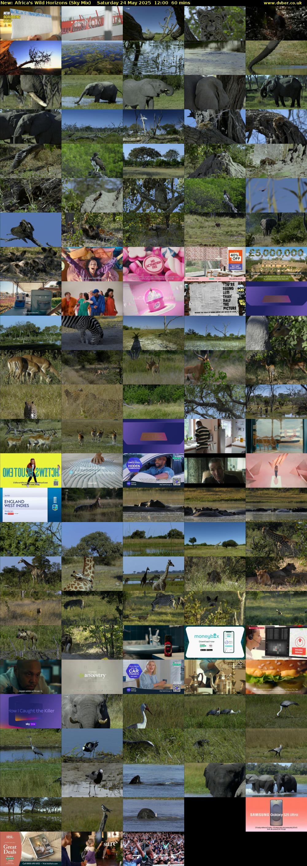 Africa's Wild Horizons (Sky Mix) Saturday 24 May 2025 12:00 - 13:00