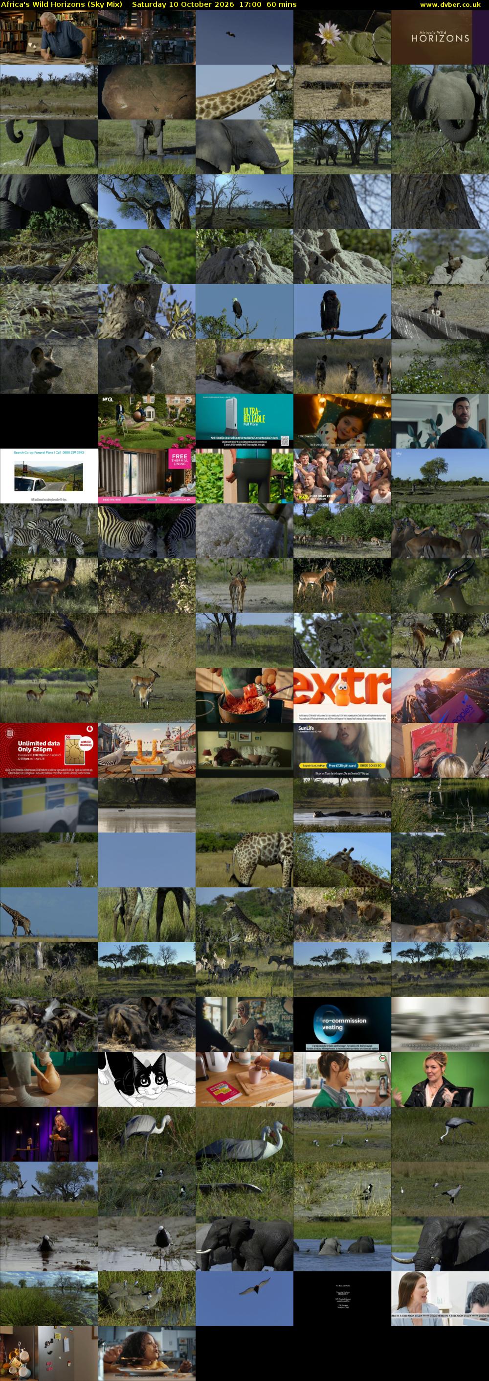 Africa's Wild Horizons (Sky Mix) Saturday 10 October 2026 17:00 - 18:00