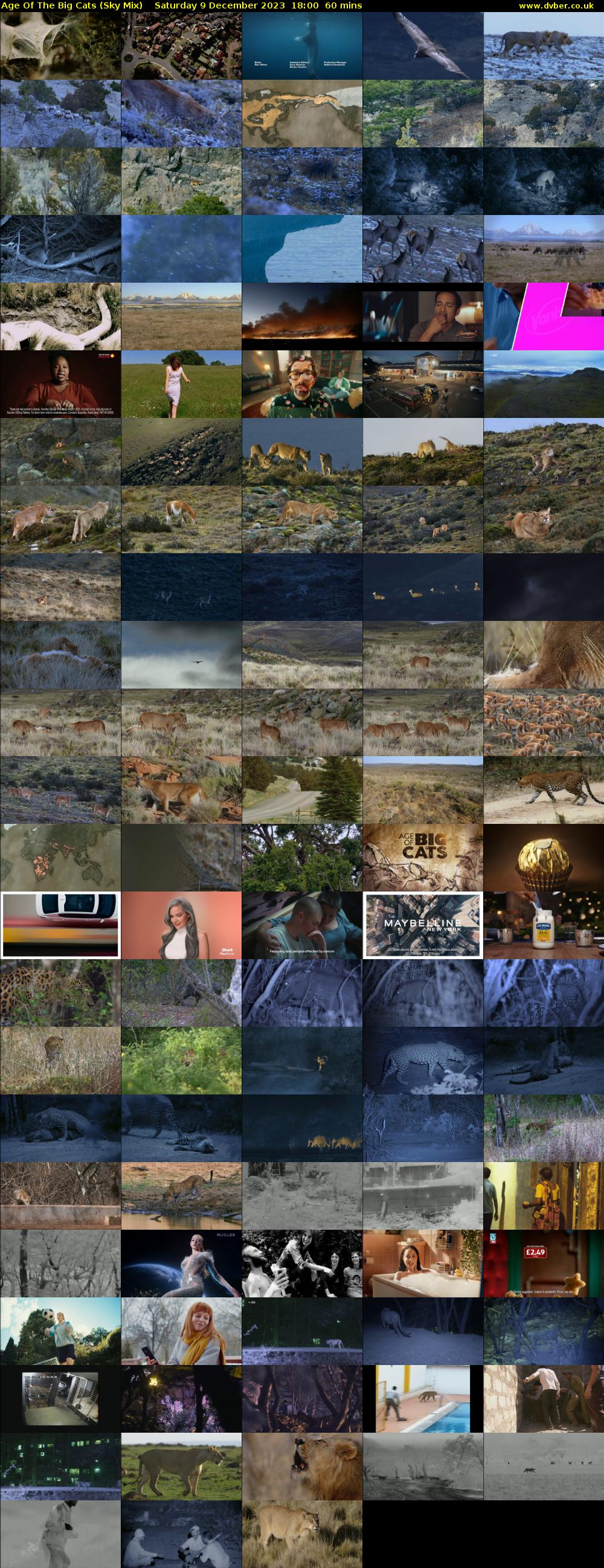 Age Of The Big Cats (Sky Mix) Saturday 9 December 2023 18:00 - 19:00