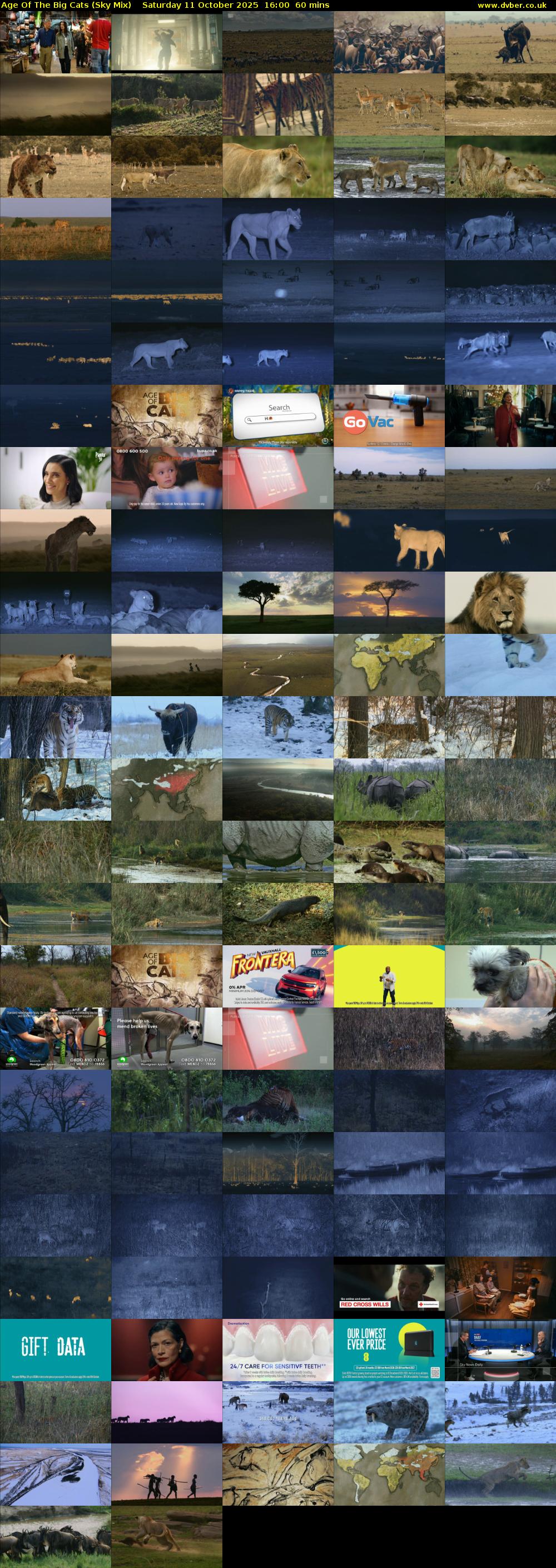 Age Of The Big Cats (Sky Mix) Saturday 11 October 2025 16:00 - 17:00