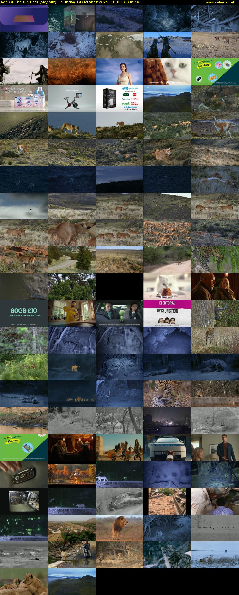 Age Of The Big Cats (Sky Mix) Sunday 19 October 2025 18:00 - 19:00