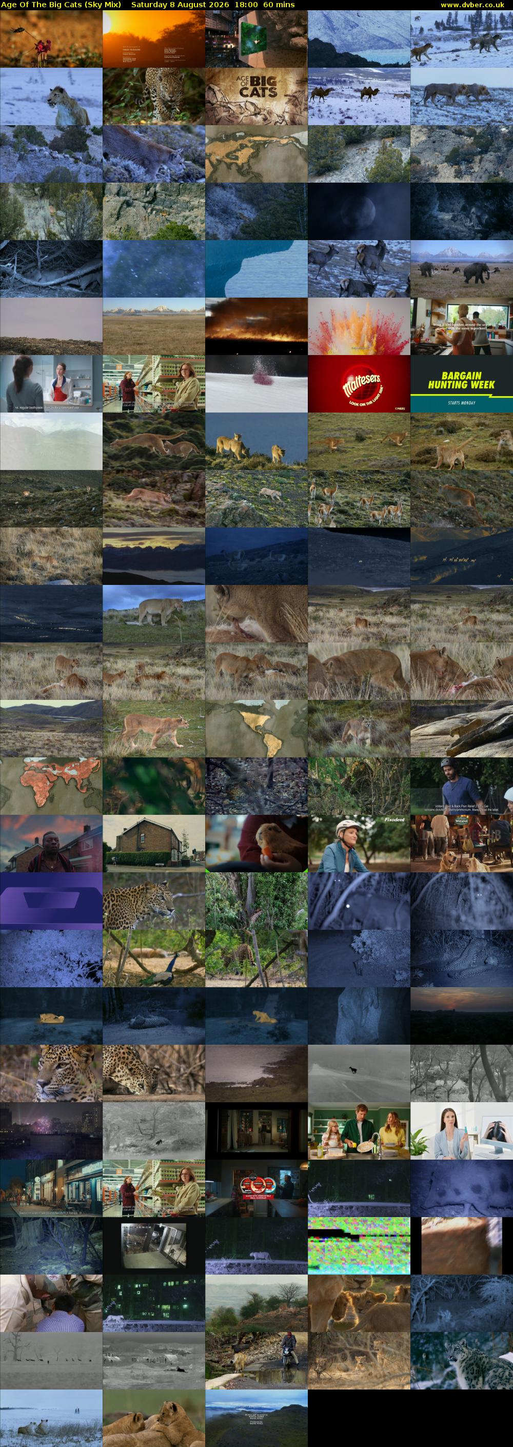 Age Of The Big Cats (Sky Mix) Saturday 8 August 2026 18:00 - 19:00