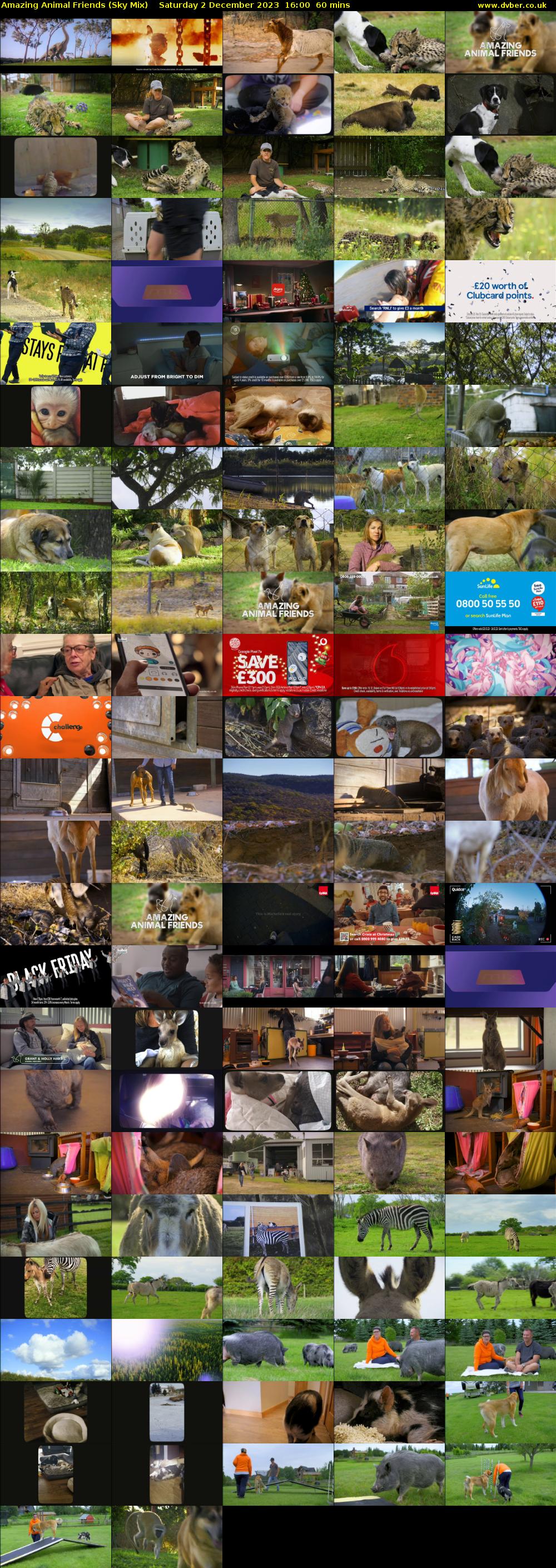 Amazing Animal Friends (Sky Mix) Saturday 2 December 2023 16:00 - 17:00