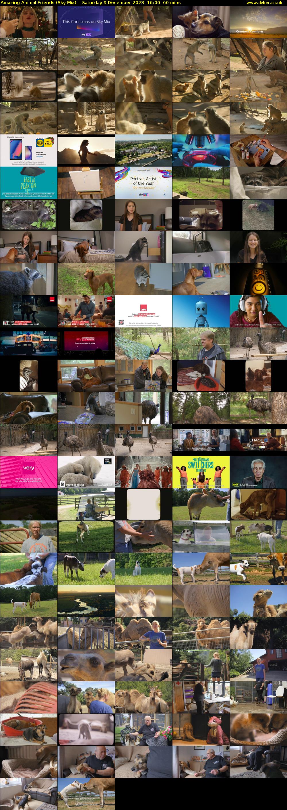 Amazing Animal Friends (Sky Mix) Saturday 9 December 2023 16:00 - 17:00