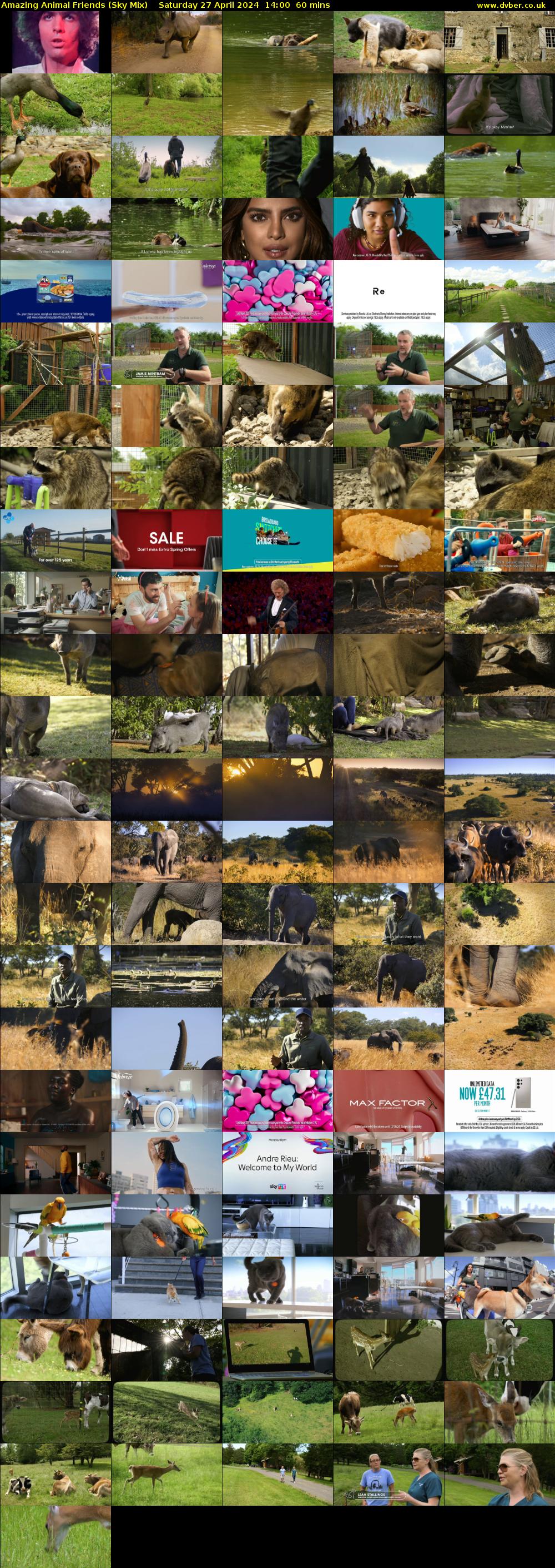 Amazing Animal Friends (Sky Mix) Saturday 27 April 2024 14:00 - 15:00