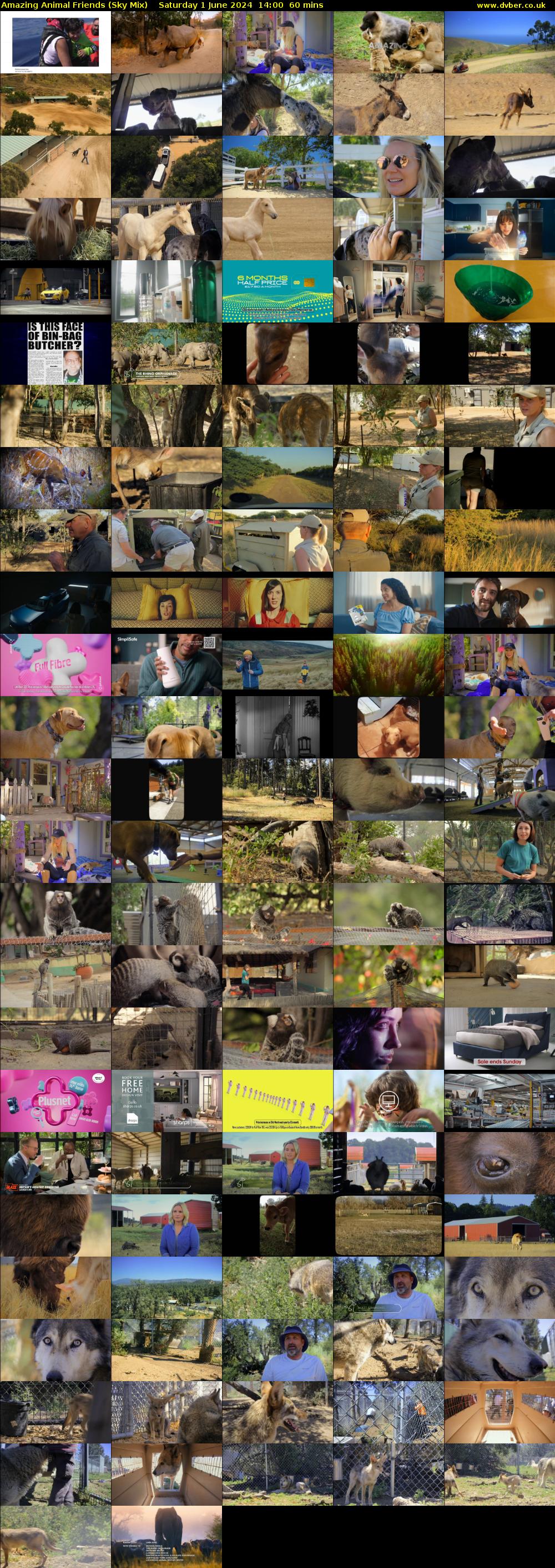 Amazing Animal Friends (Sky Mix) Saturday 1 June 2024 14:00 - 15:00