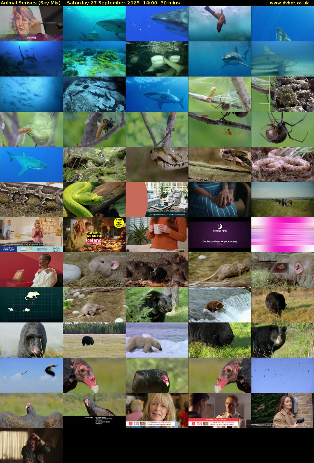 Animal Senses (Sky Mix) Saturday 27 September 2025 14:00 - 14:30