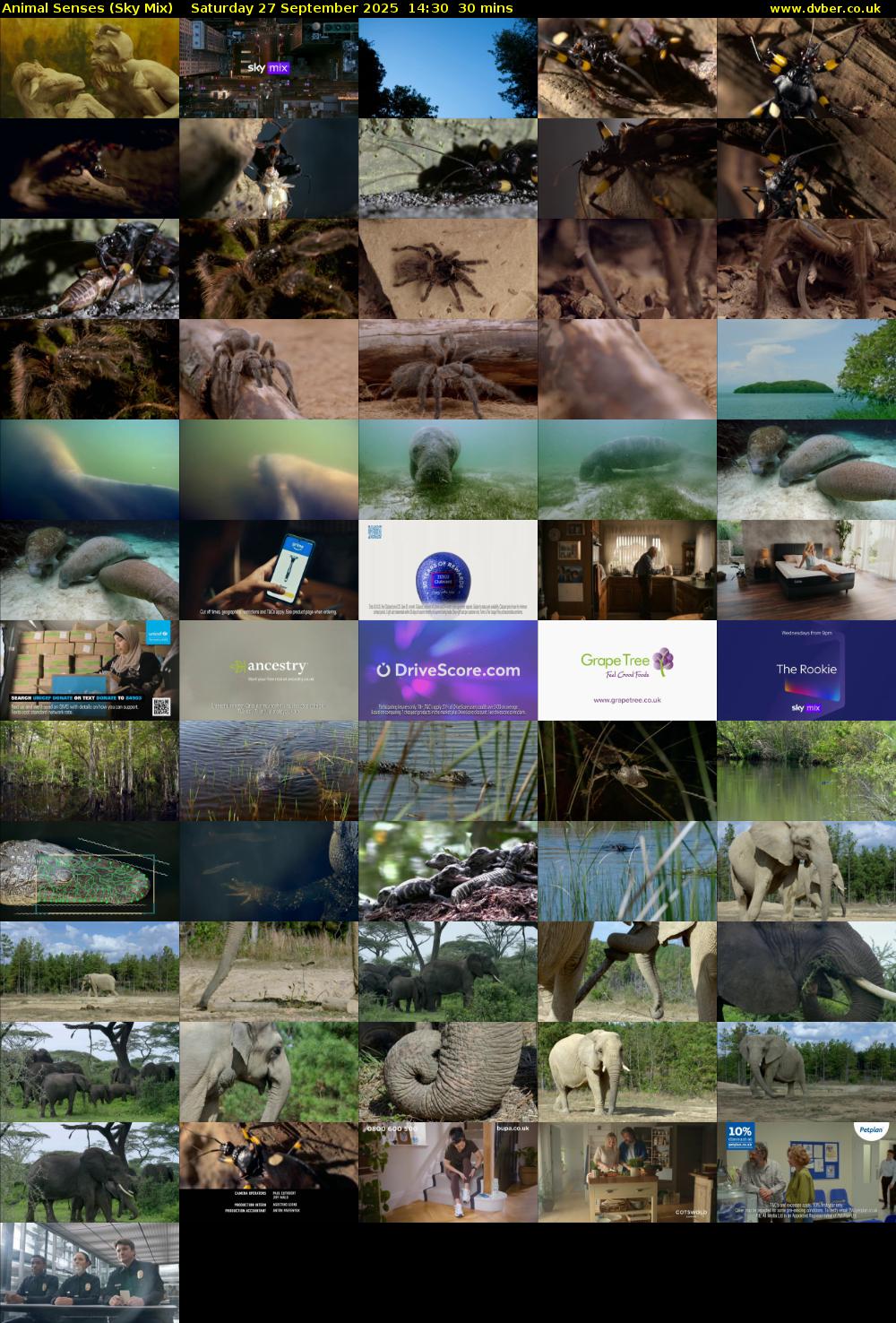 Animal Senses (Sky Mix) Saturday 27 September 2025 14:30 - 15:00