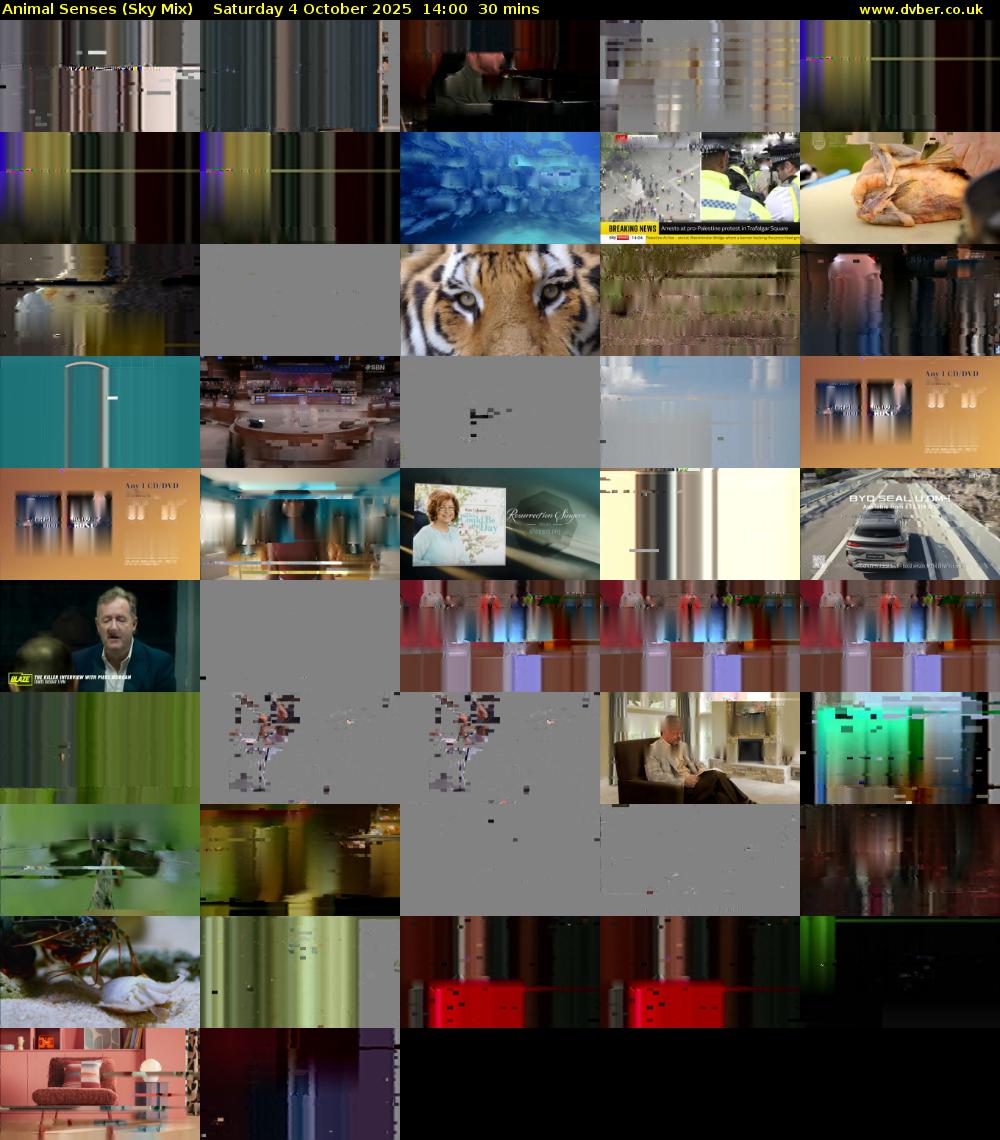 Animal Senses (Sky Mix) Saturday 4 October 2025 14:00 - 14:30