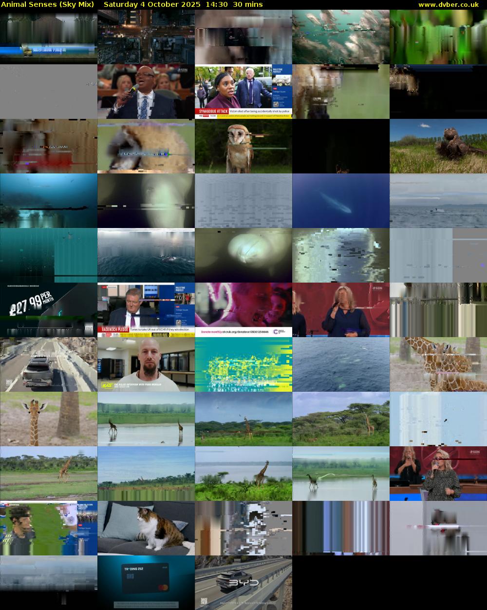 Animal Senses (Sky Mix) Saturday 4 October 2025 14:30 - 15:00