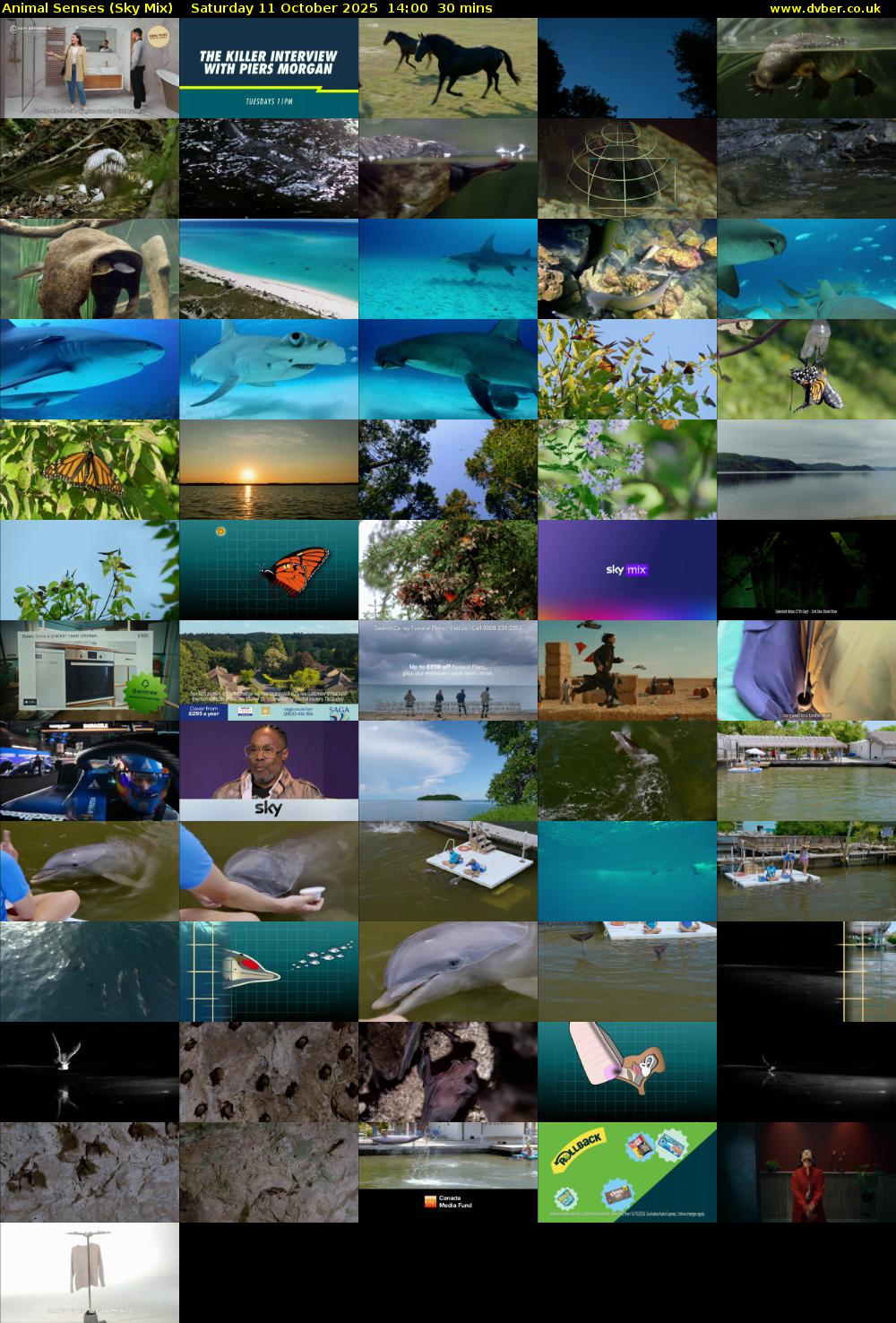 Animal Senses (Sky Mix) Saturday 11 October 2025 14:00 - 14:30