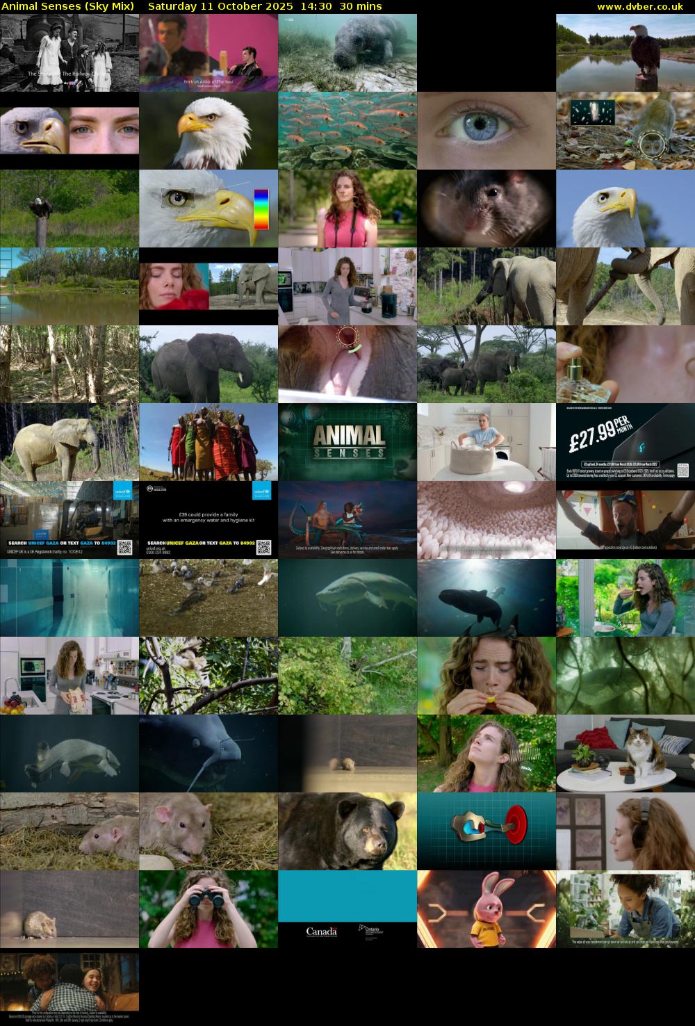 Animal Senses (Sky Mix) Saturday 11 October 2025 14:30 - 15:00