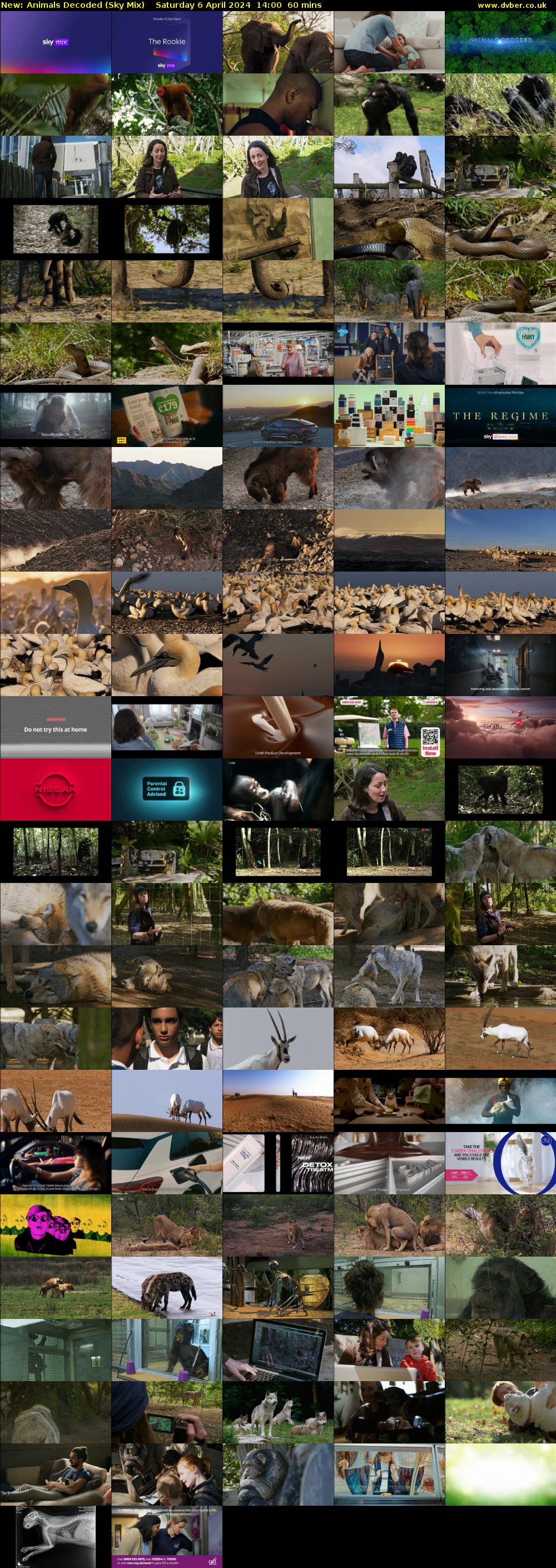 Animals Decoded (Sky Mix) Saturday 6 April 2024 14:00 - 15:00