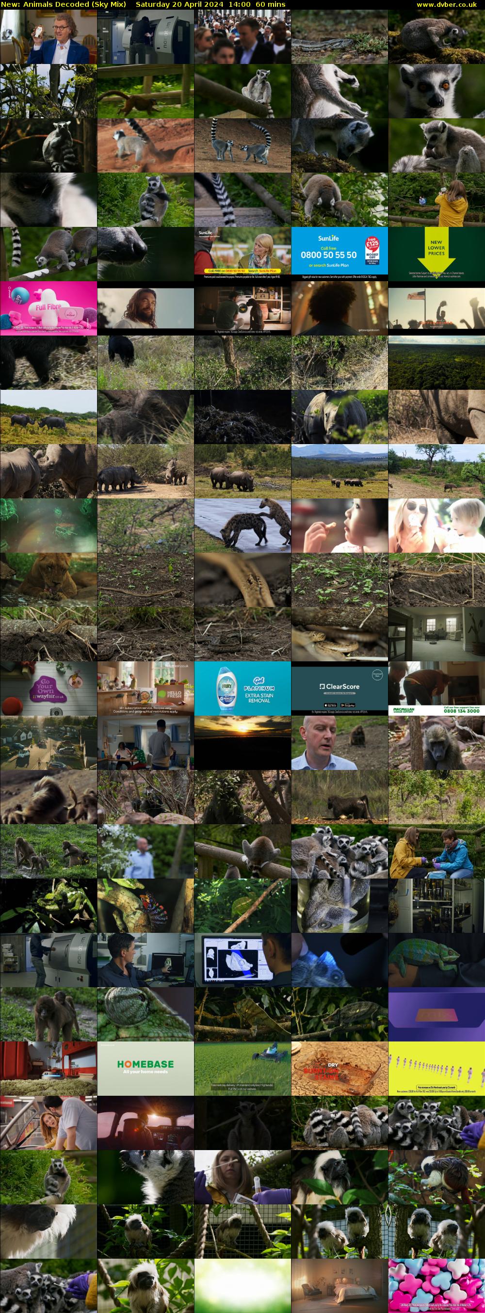 Animals Decoded (Sky Mix) Saturday 20 April 2024 14:00 - 15:00